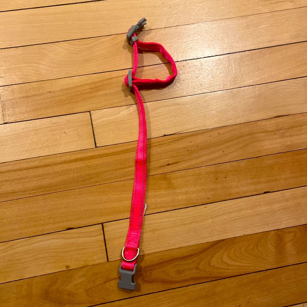 Thin hot pink colar